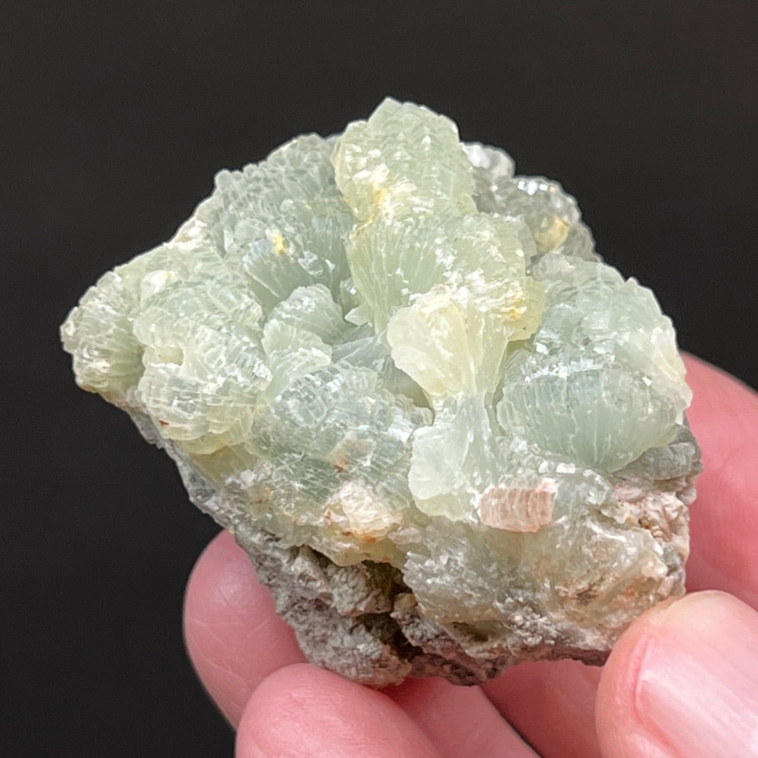 The beautiful bowtie and fanning formation is clearly evident is this Prehnite crystals specimen from Morocco.