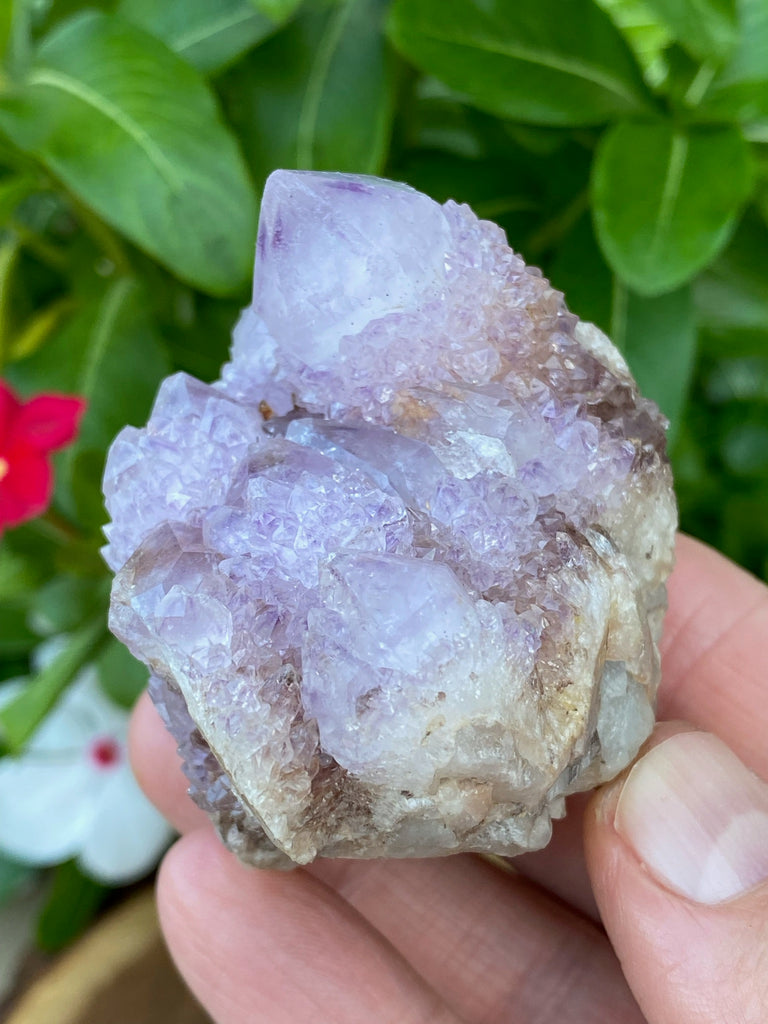 Spirit Cactus Quartz Crystals | 173g Amethyst Ametrine Quartz Cluster