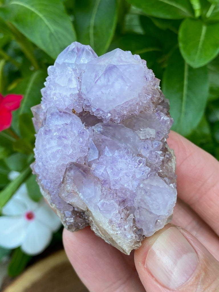 Spirit Cactus Quartz Crystals | 173g Amethyst Ametrine Quartz Cluster