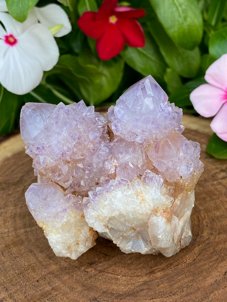 Spirit Cactus Quartz Crystals | 190g Amethyst Ametrine Quartz Cluster