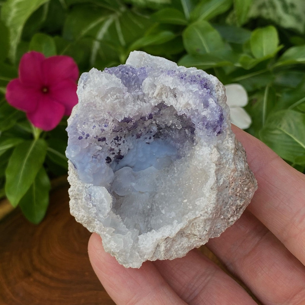 There is excellent light blue botryoidal chalcedony in the middle and edge of this Spirit Flower specimen that is partially covered with sparkling druzy-like quartz crystals. 