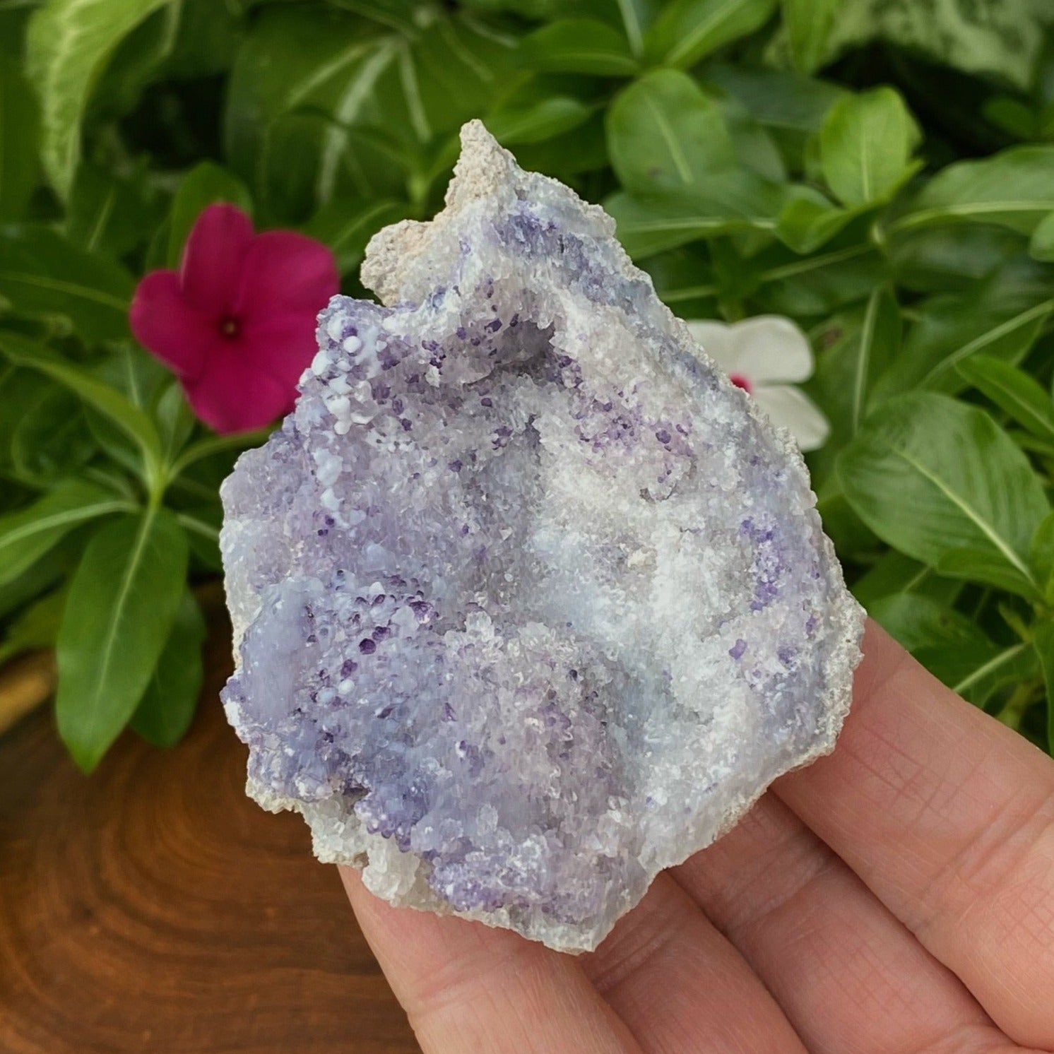 The botryoidal formations of this Spirit Flower Geode are covered with very sparkly druzy quartz crystals.