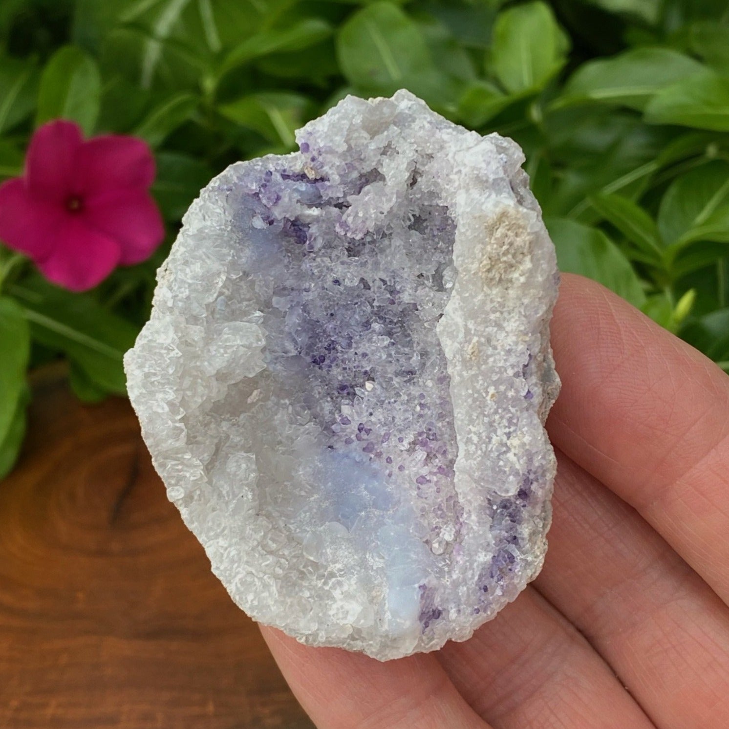 Spirit Flower Geodes like this one are an exciting, rare, new 2021 mineral find! We specialize in the highest quality Spirit Flower Geodes available.