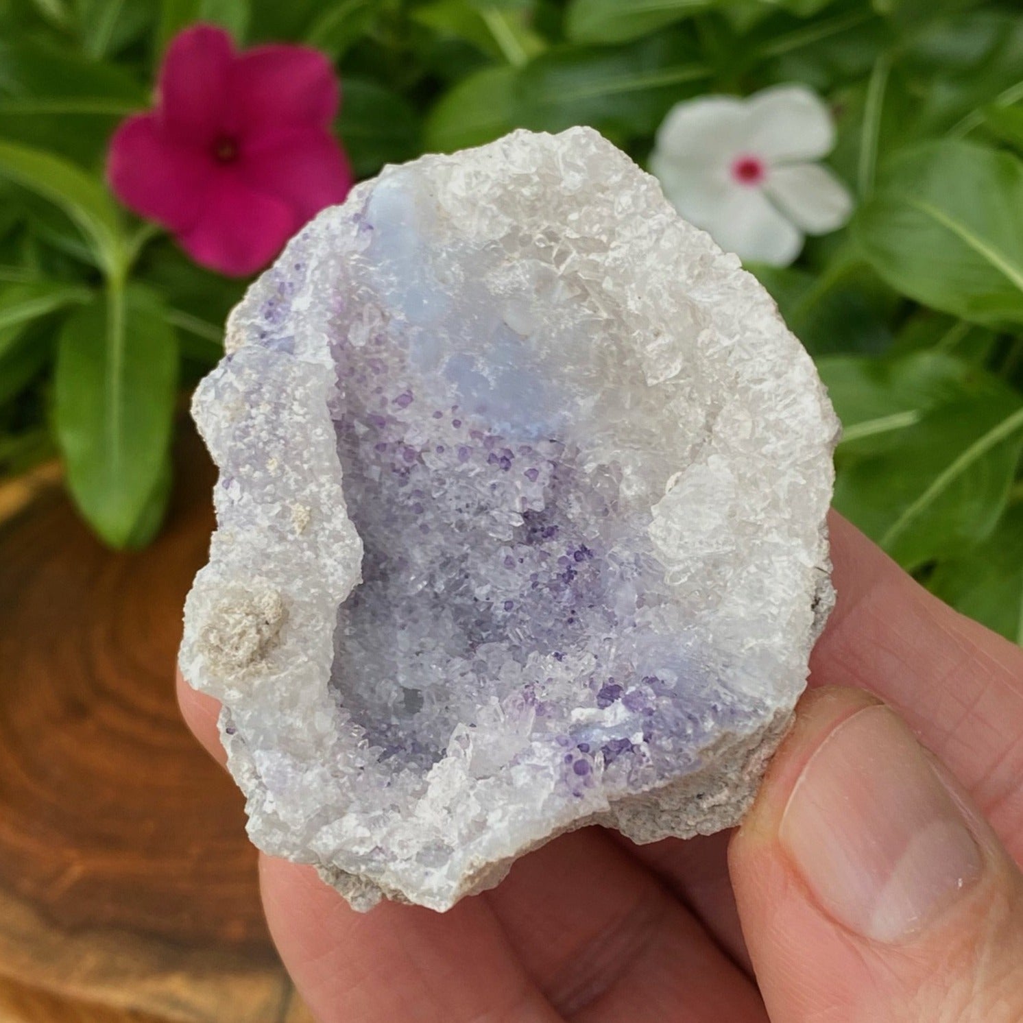 This Spirit Flower Geodes is 100% natural and presents with a blend of botryoidal Chalcedony, Dark Blue Fluorite and druzy Quartz crystals.