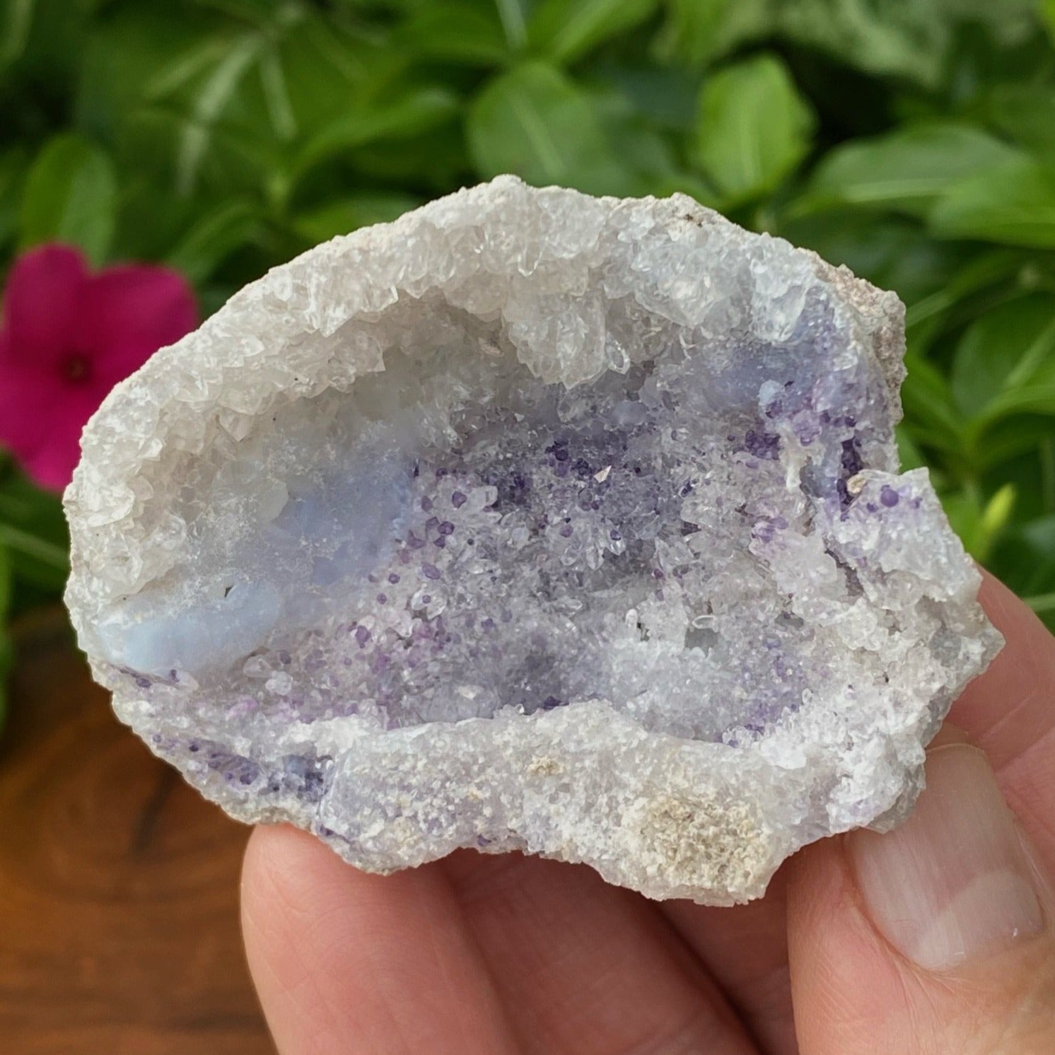 This is a very sparkly Spirit Flower Geode specimen with a beautiful swath of blue fluorite across the middle of the pocket and accompanying light blue chalcedony and druzy quartz crystals.