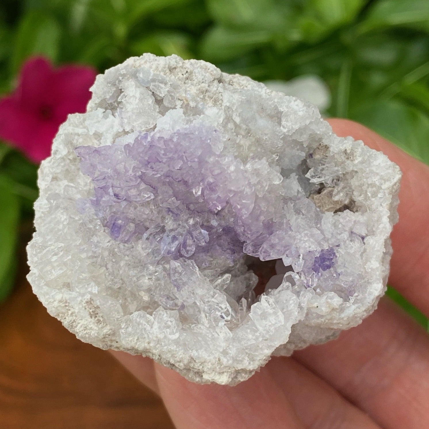 This Spirit Flower Geode presents with highly lustrous quartz crystals with excellent faces and terminations and line the inside of this fine specimen with nice depth.