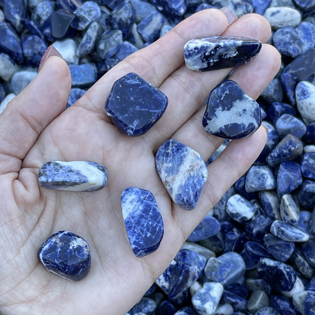 Sodalite-Polished-Stones shown in hand