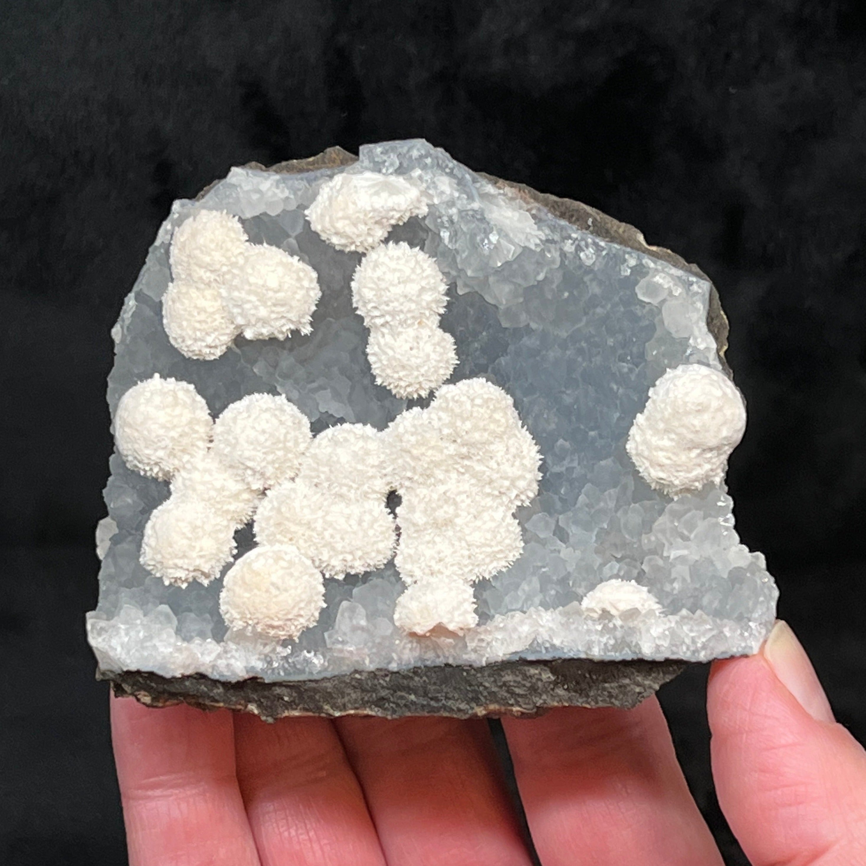 This is an extraordinary, less common occurrence of radiating, snowball-like creamy white Mordenite on a curved bed of blue-gray Quartz growing over a basalt matrix.