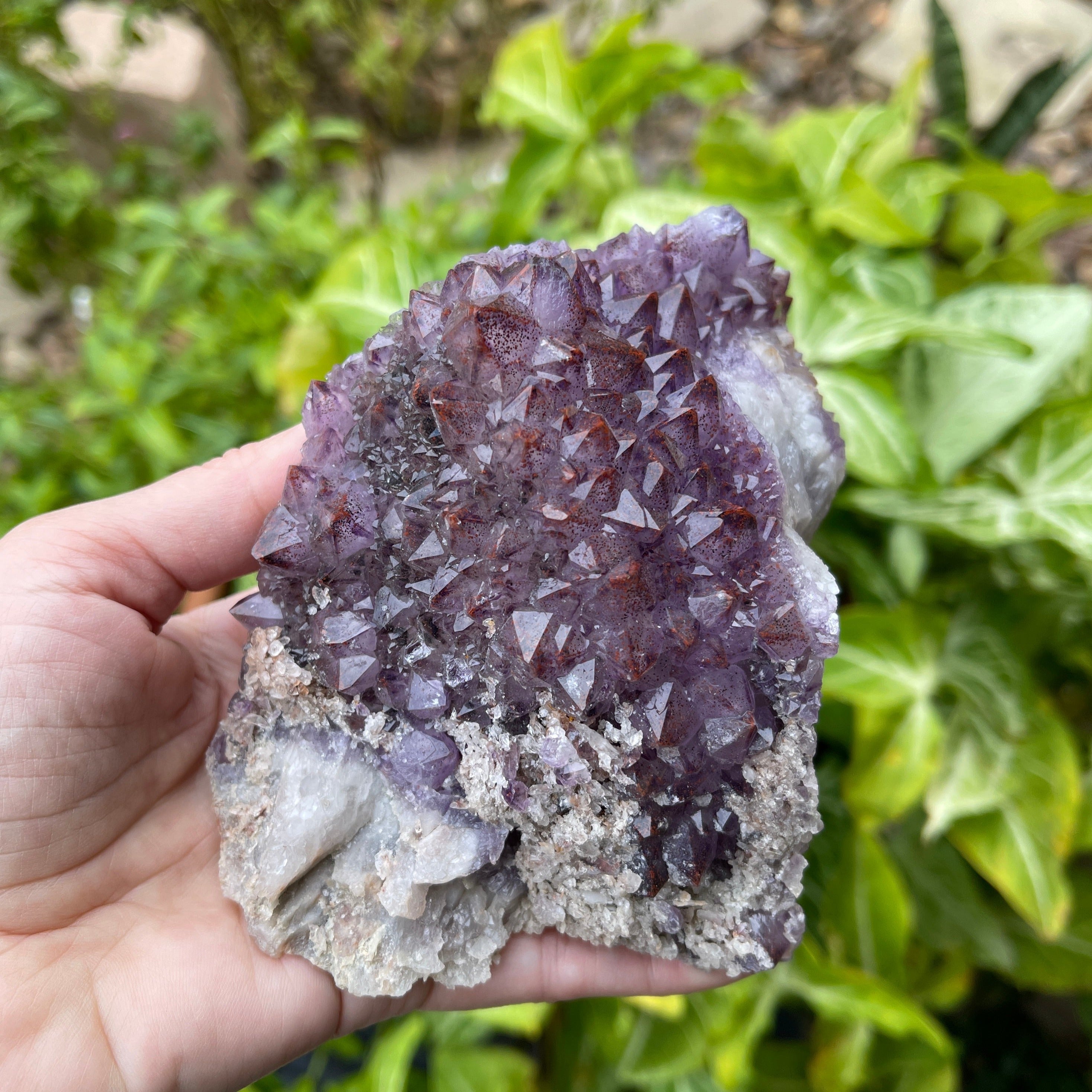 Thunder Bay Amethyst Crystal with Hematite inclusion from Moon Light Mine in Canada.