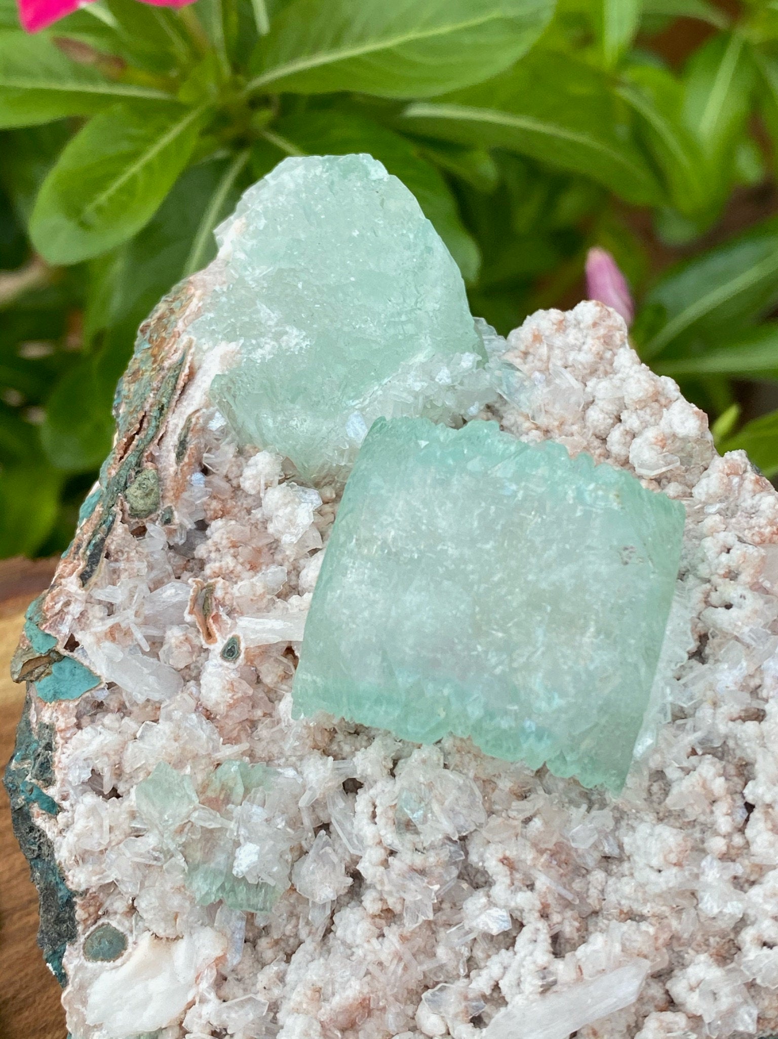 Green Apophyllite & Stilbites on Micromount Heulandites Crystal - Zeolites