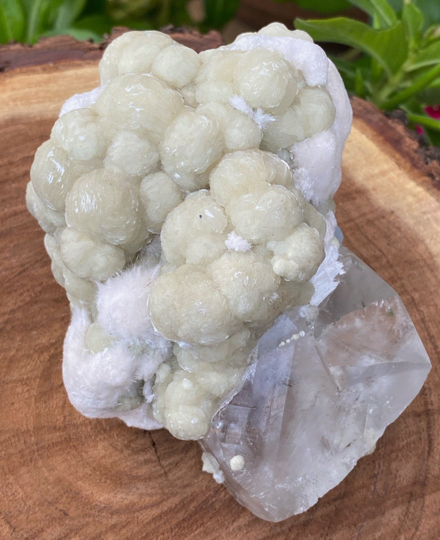 Rare Gyrolite Spheres, Calcite, Okenite Crystals - 3.5" Specimen - Zeolites Healing Crystals