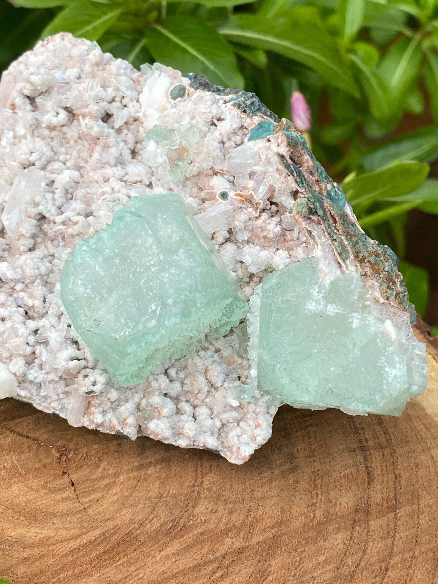 Green Apophyllite & Stilbites on Micromount Heulandites Crystal - Zeolites