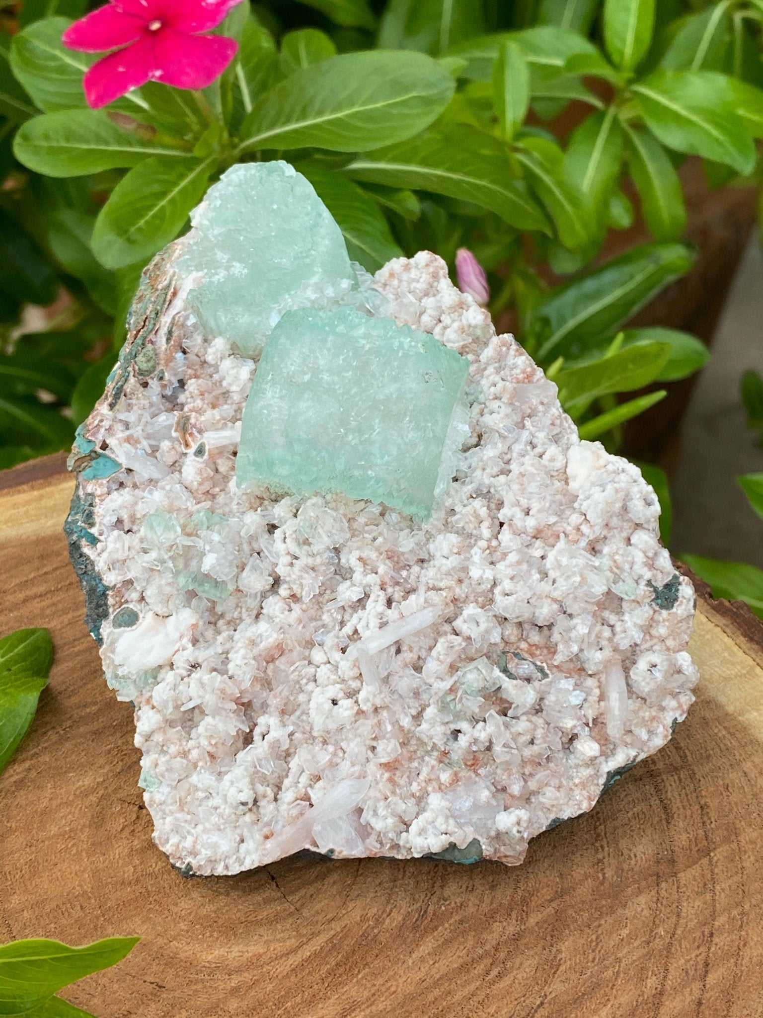 Green Apophyllite & Stilbites on Micromount Heulandites Crystal - Zeolites