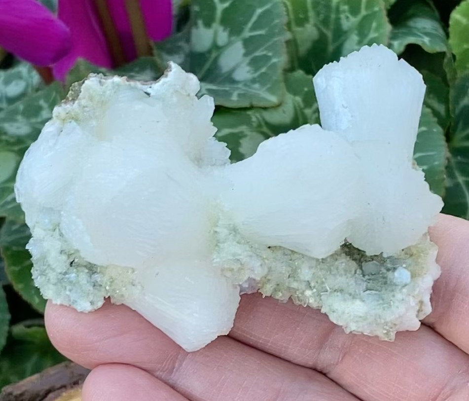 One of the best bow tie, sheaf-like white Stilbite specimens we've seen! Absolutely gorgeous, high quality, pearly Stilbite on sparkling base of smaller Stilbite and Heulandite Crystals.