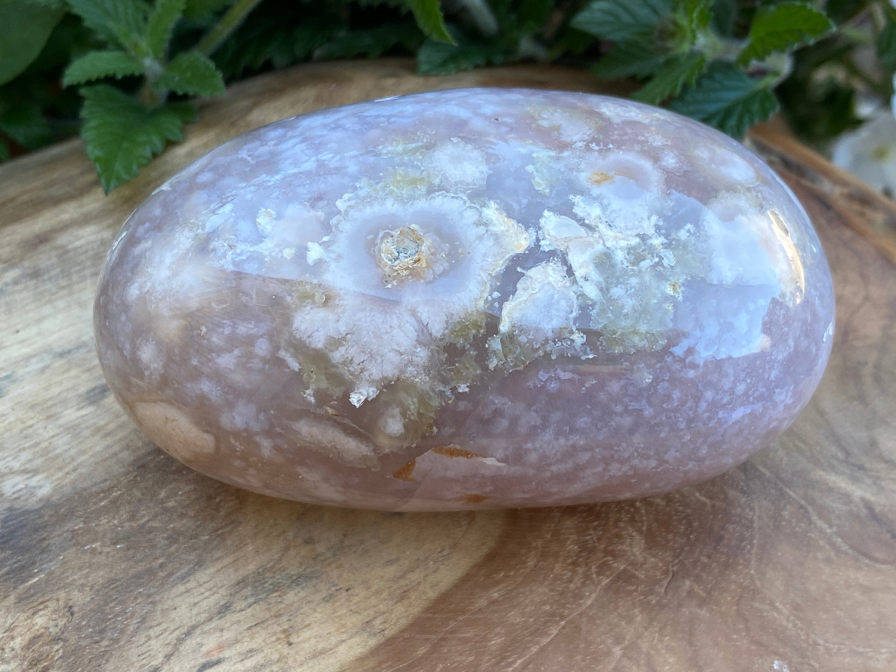 Flower Agate Larger Gallet Palmstone | 340grams Crystals for Healing