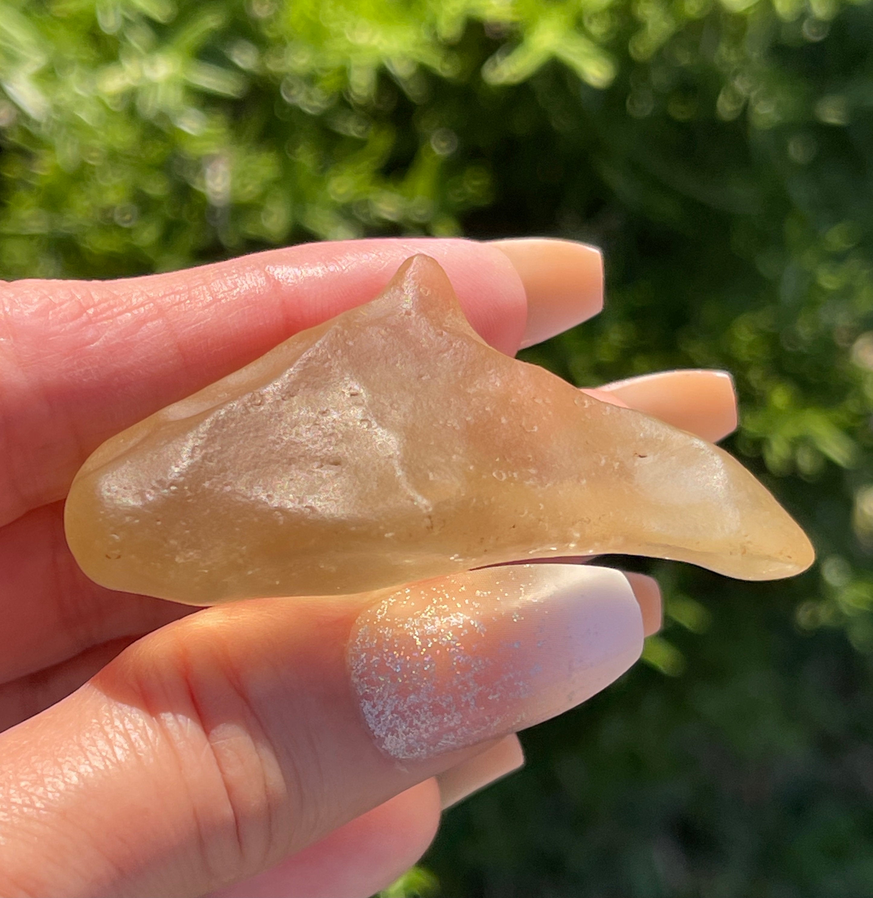 Libyan Desert Glass | Rare Libyan Gold Tektite | Large 24 Grams, Authentic Dolphin