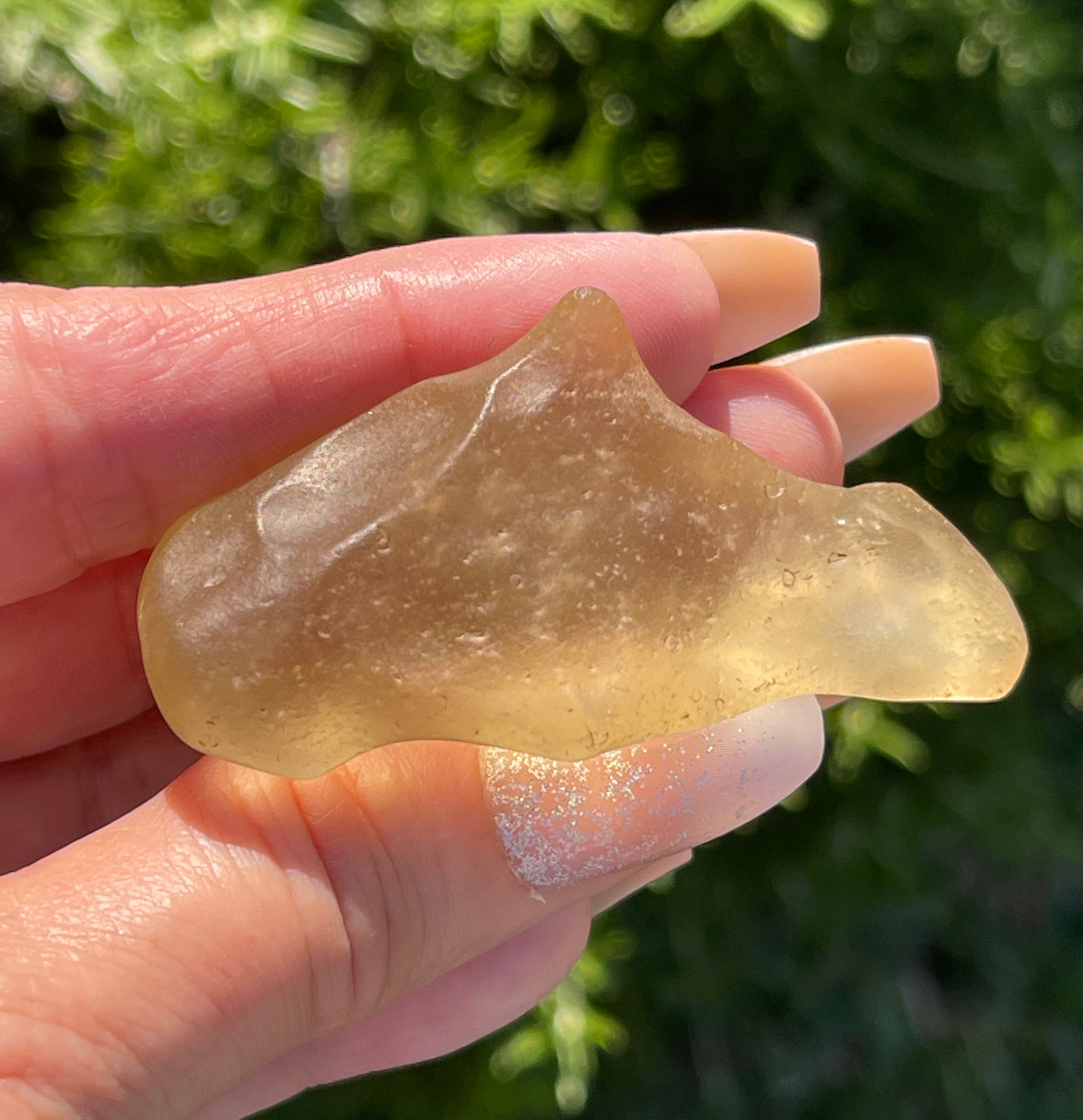 Libyan Desert Glass | Rare Libyan Gold Tektite | Large 24 Grams, Authentic Dolphin