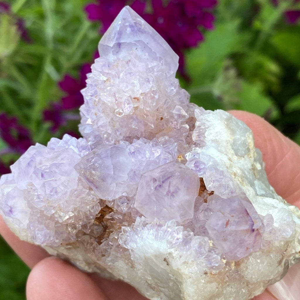 Spirit Cactus Quartz Crystals with Ametrine | 111grams Amethyst Spirit Cluster