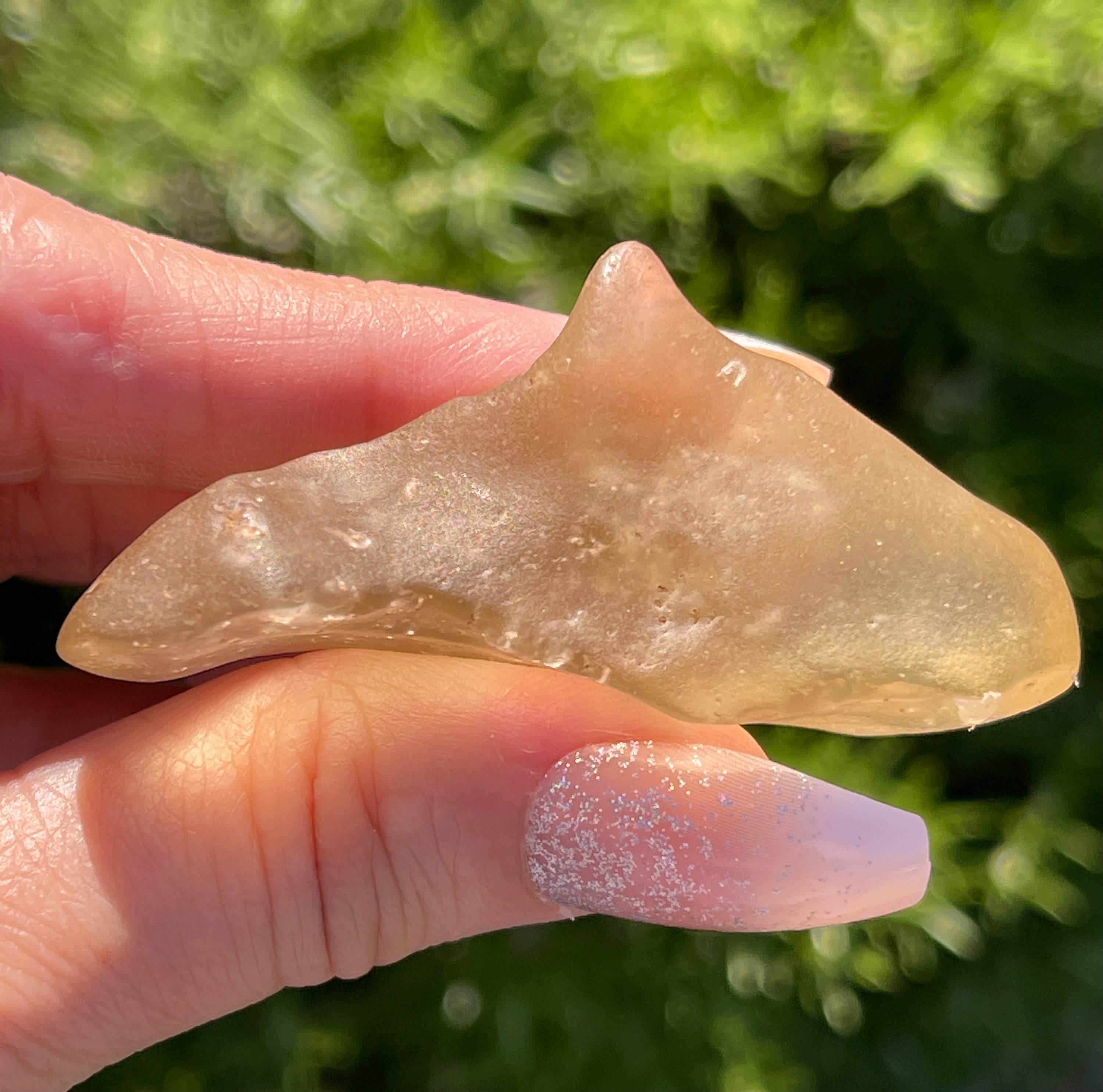 Libyan Desert Glass | Rare Libyan Gold Tektite | Large 24 Grams, Authentic Dolphin