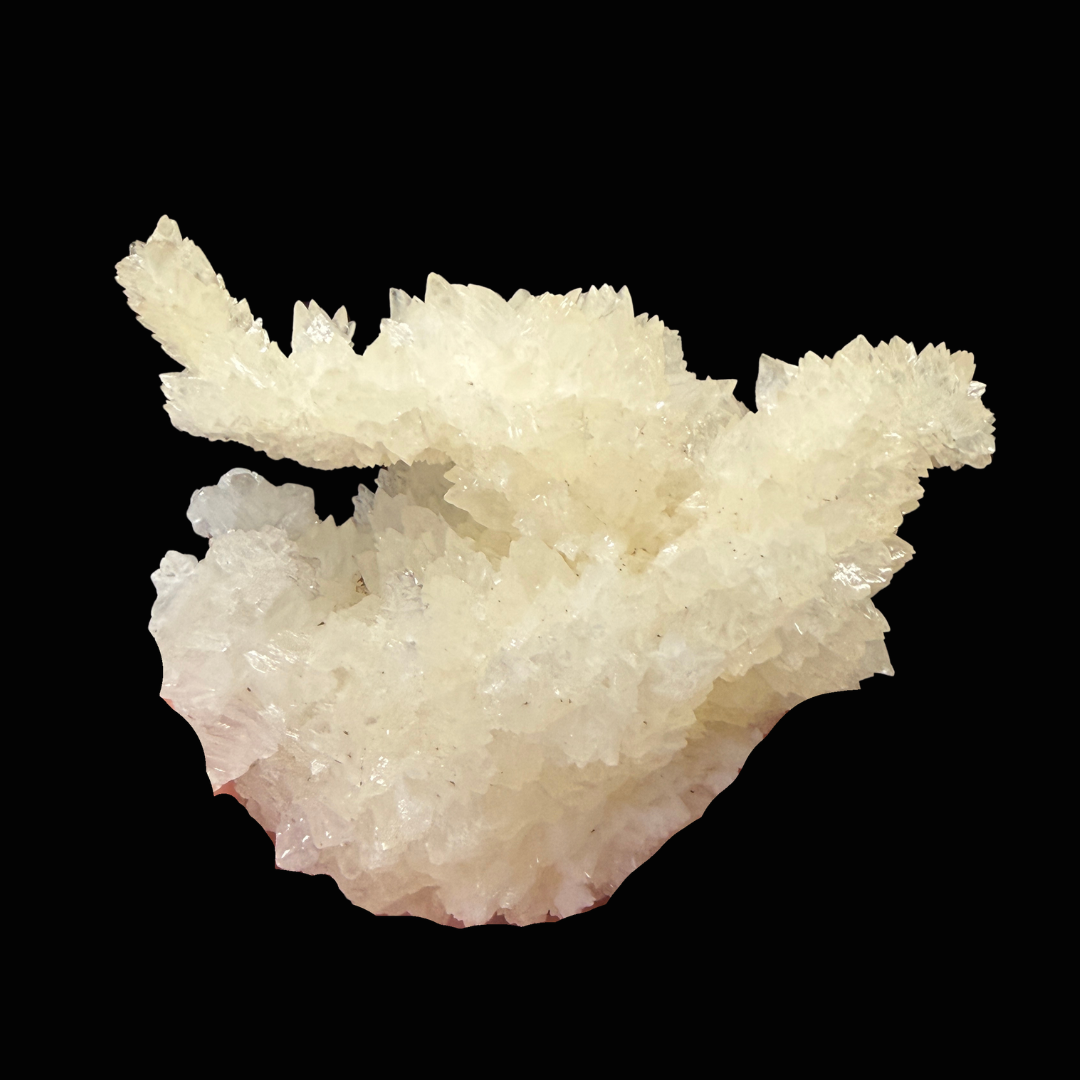 Aragonite - Calcite 