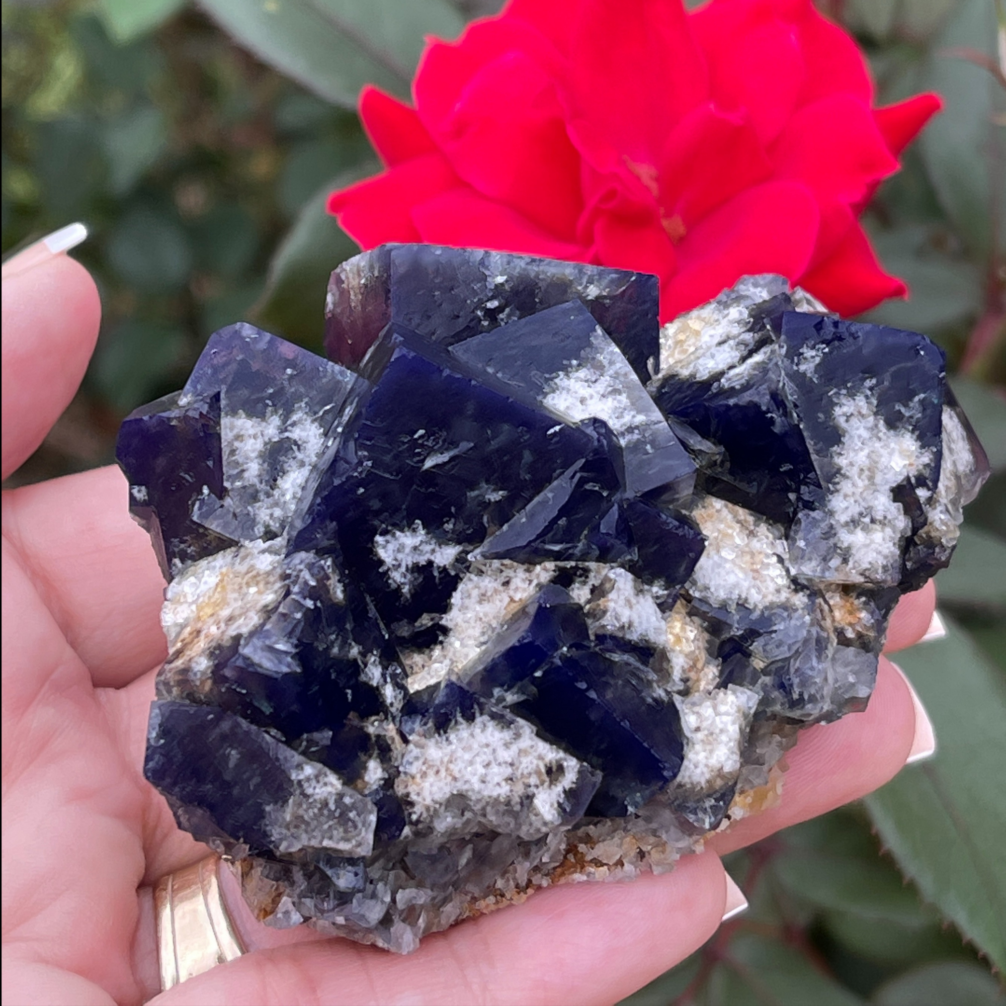 Milky Way Fluorite Crystal shown in hand.
