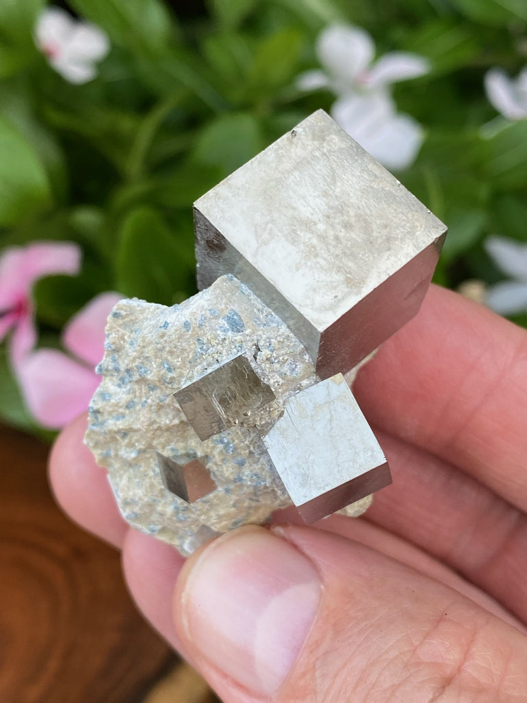 Pyrite cubes in matrix, one large Pyrite and three smaller ones in this specimen.