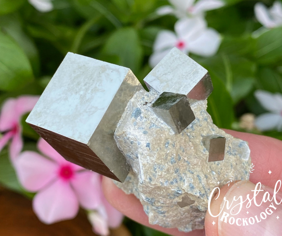 Pyrite cubes in matrix, one large Pyrite and three smaller ones in this specimen.