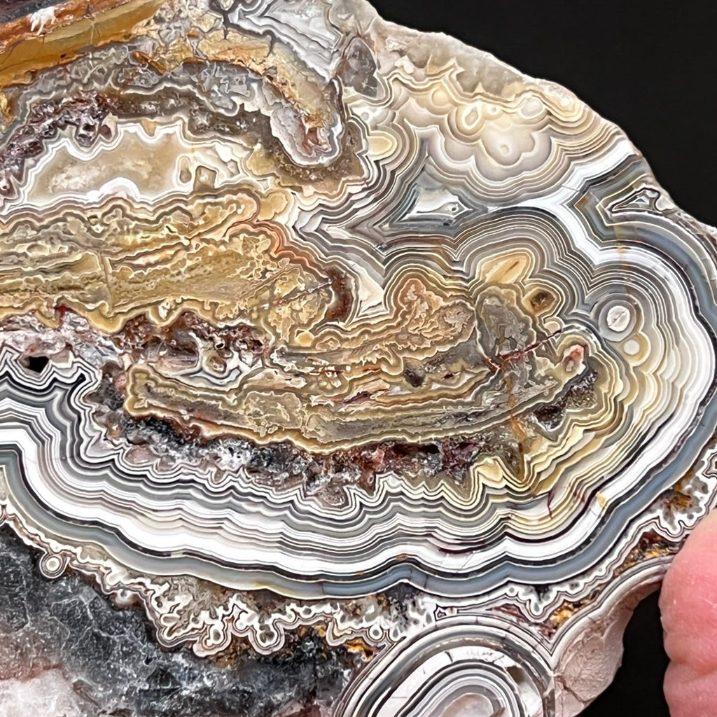 Close up detail of Crazy Lace Agate