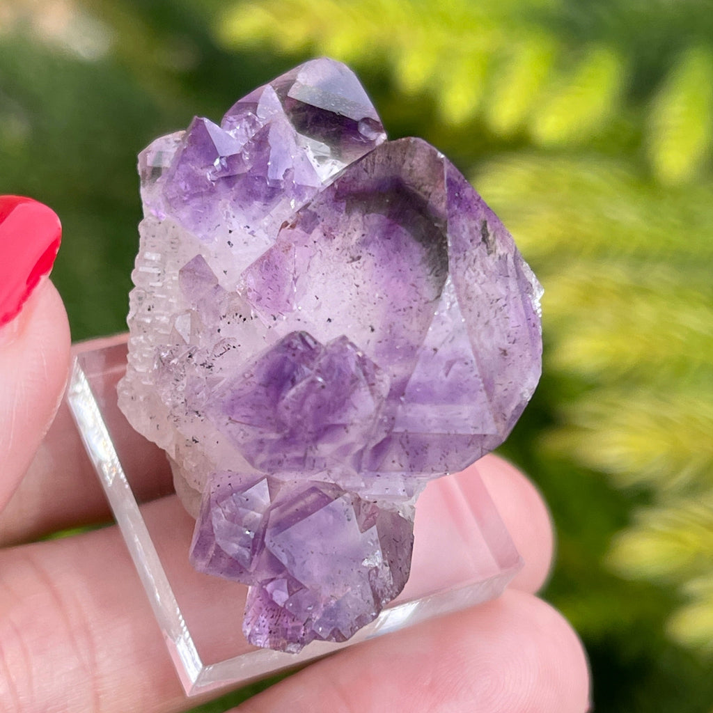 Amethyst Cluster Scepter with rich purple color