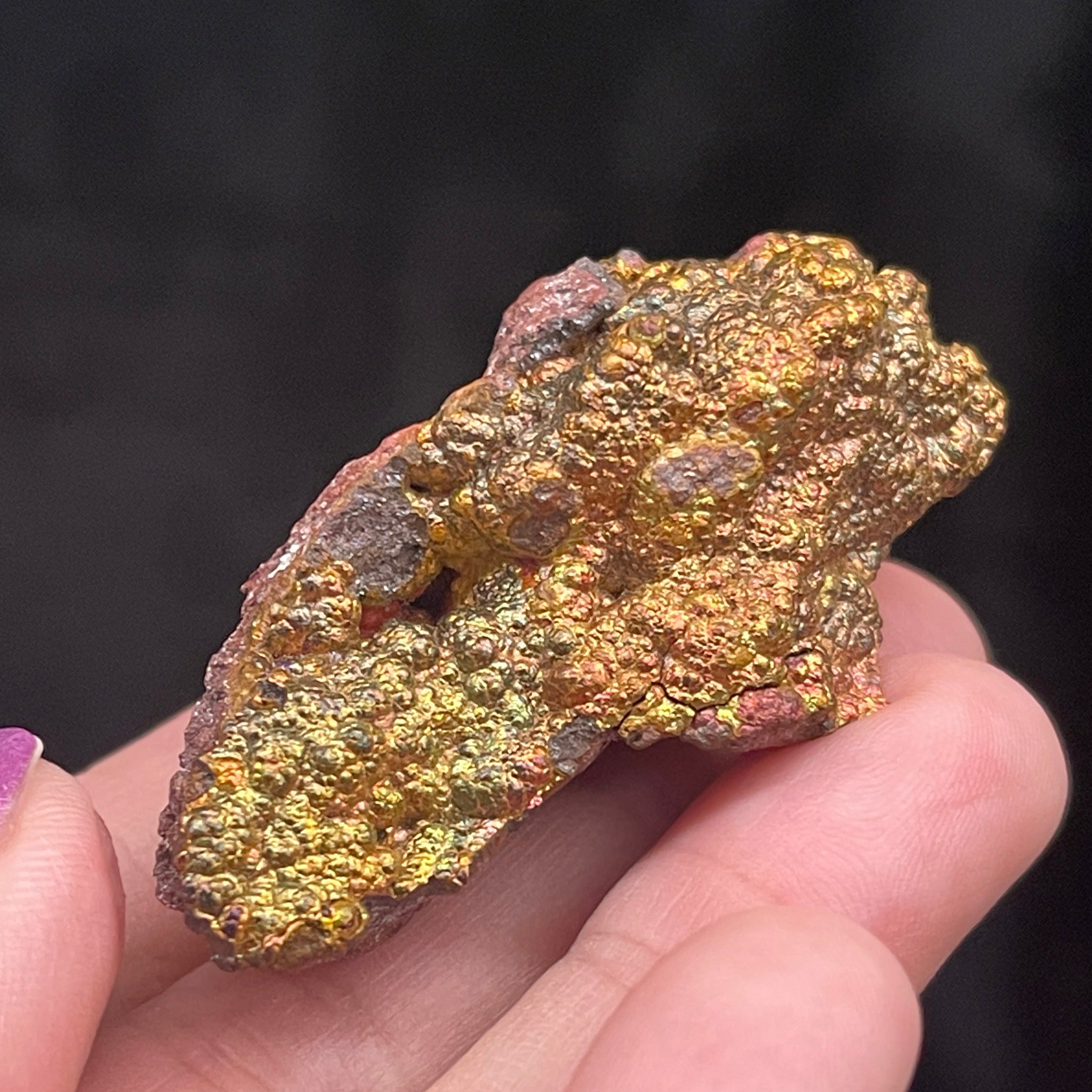Rare Iridescent Hematite shown in hands.