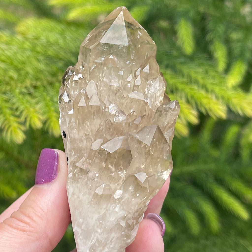 Congo Citrine, natural cluster. Abundance Crystal
