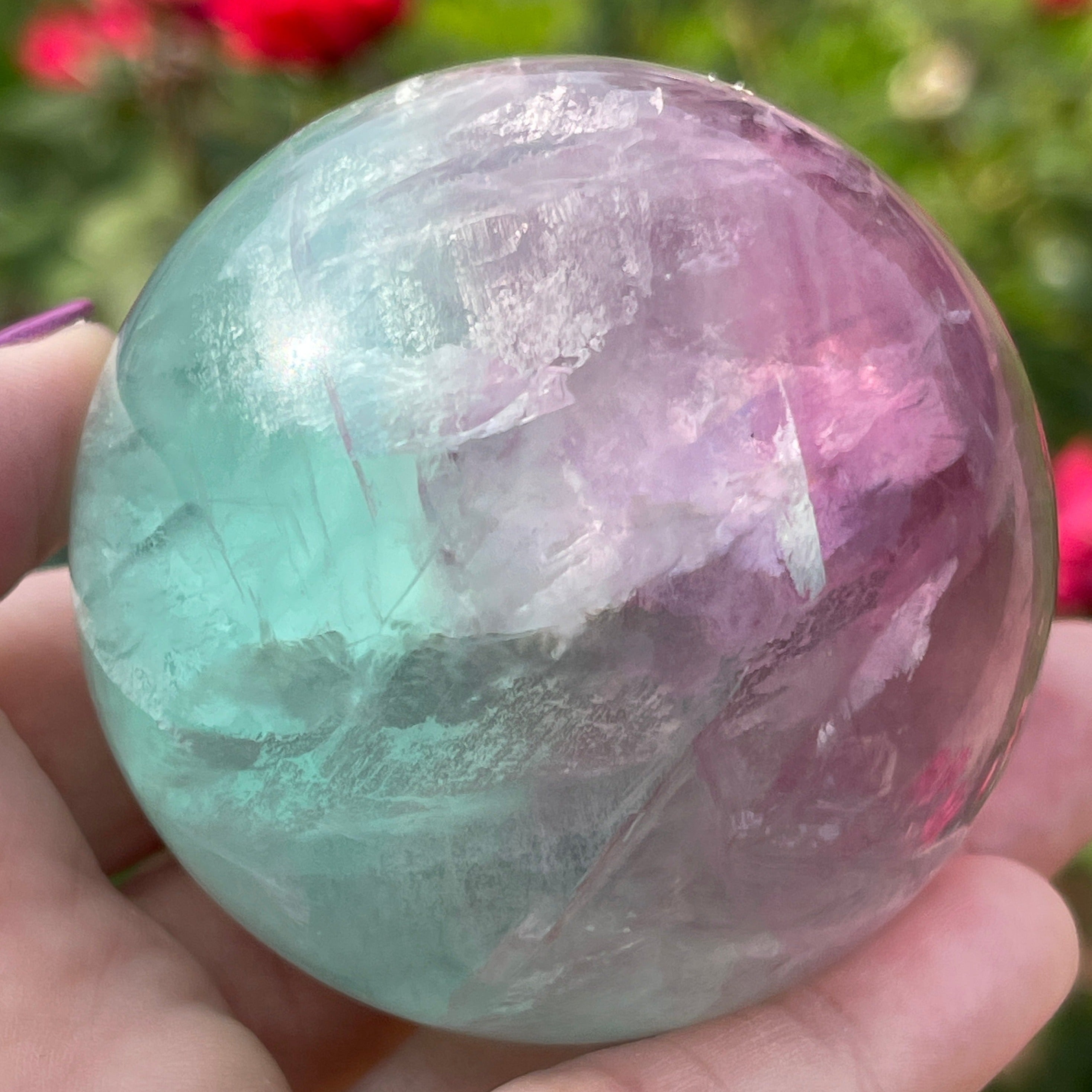 Waternelon Fluorite shown in hand.