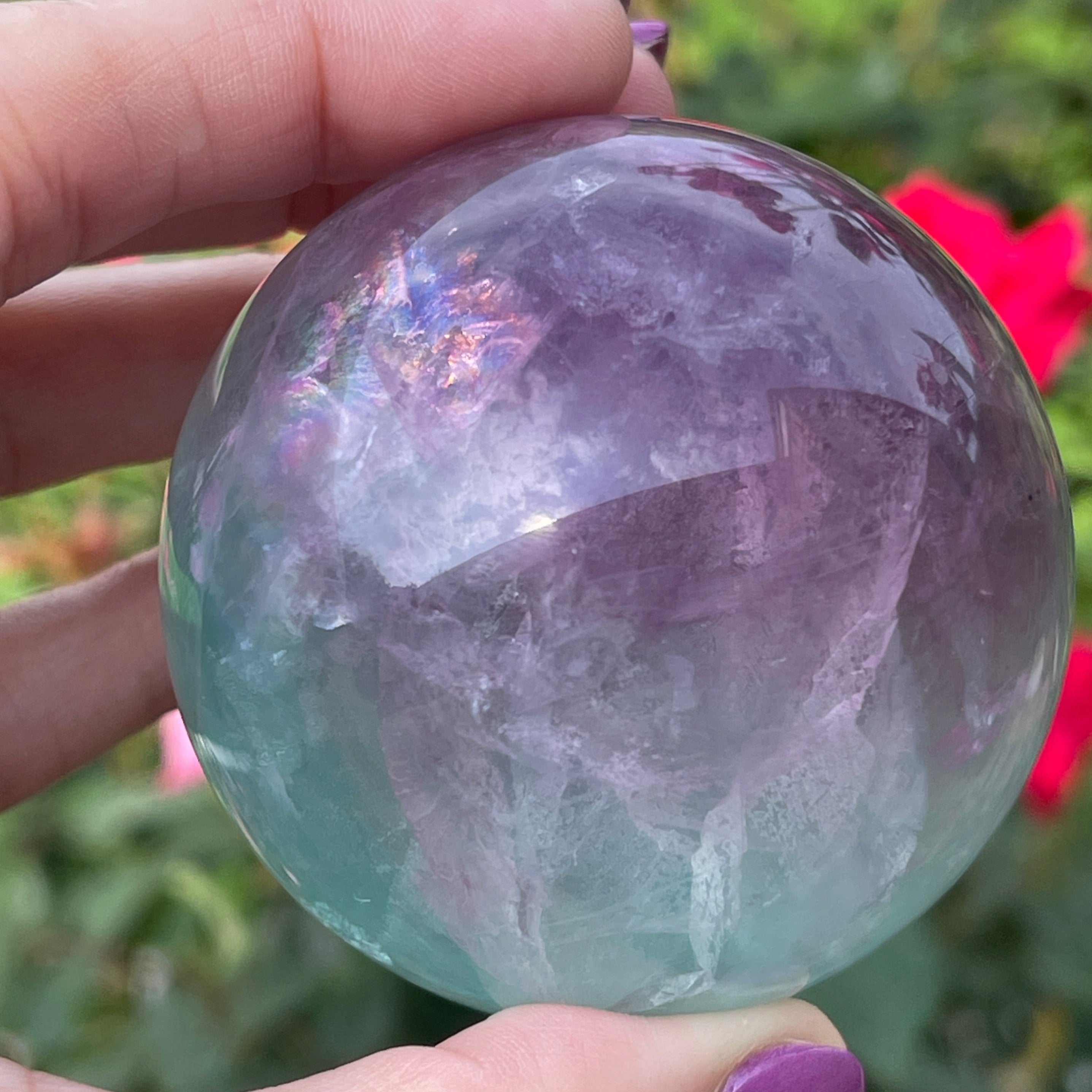 Beautiful watermelon Fluorite with rainbows.