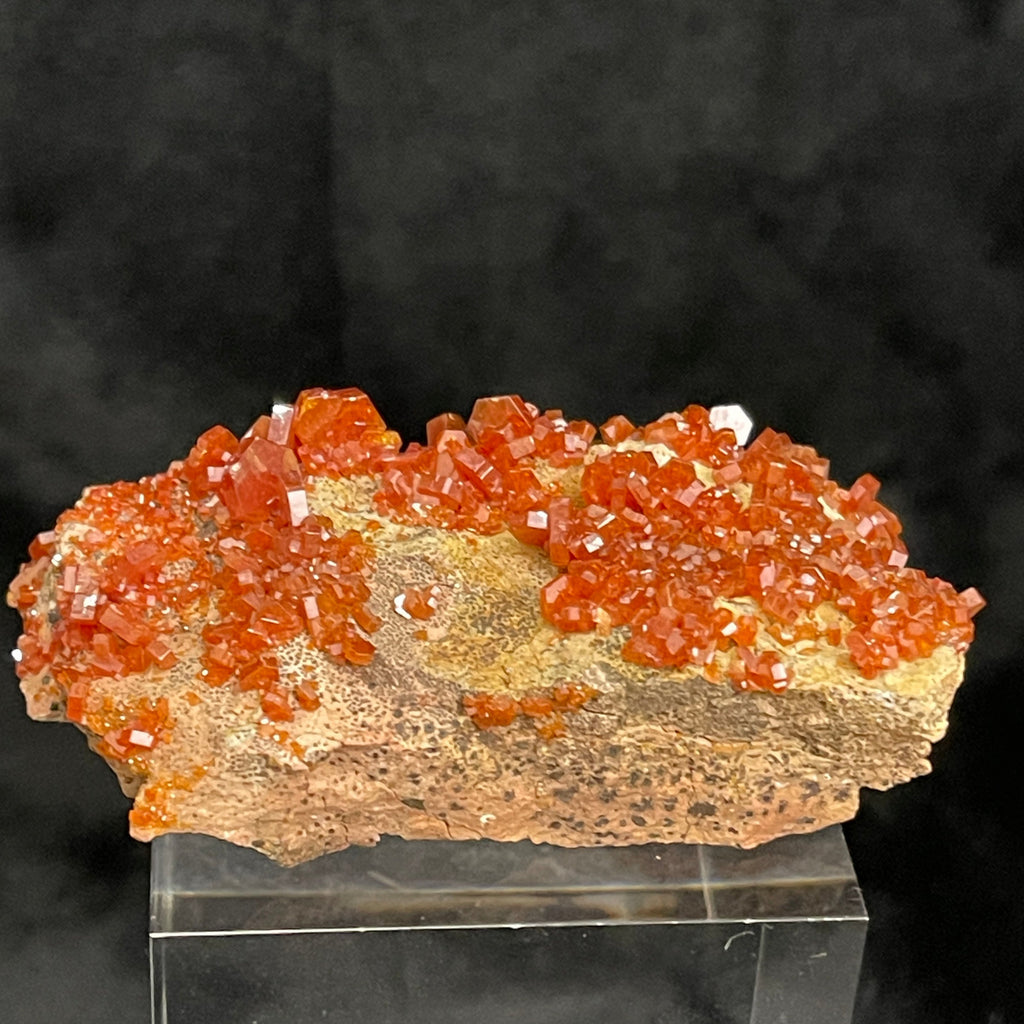 Beautiful Vanadinite Mineral from Morocco. Mineral collection.