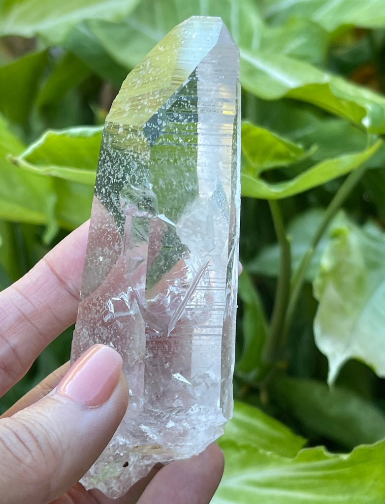 Water Clear Lemurian Quartz Crystal Colombia