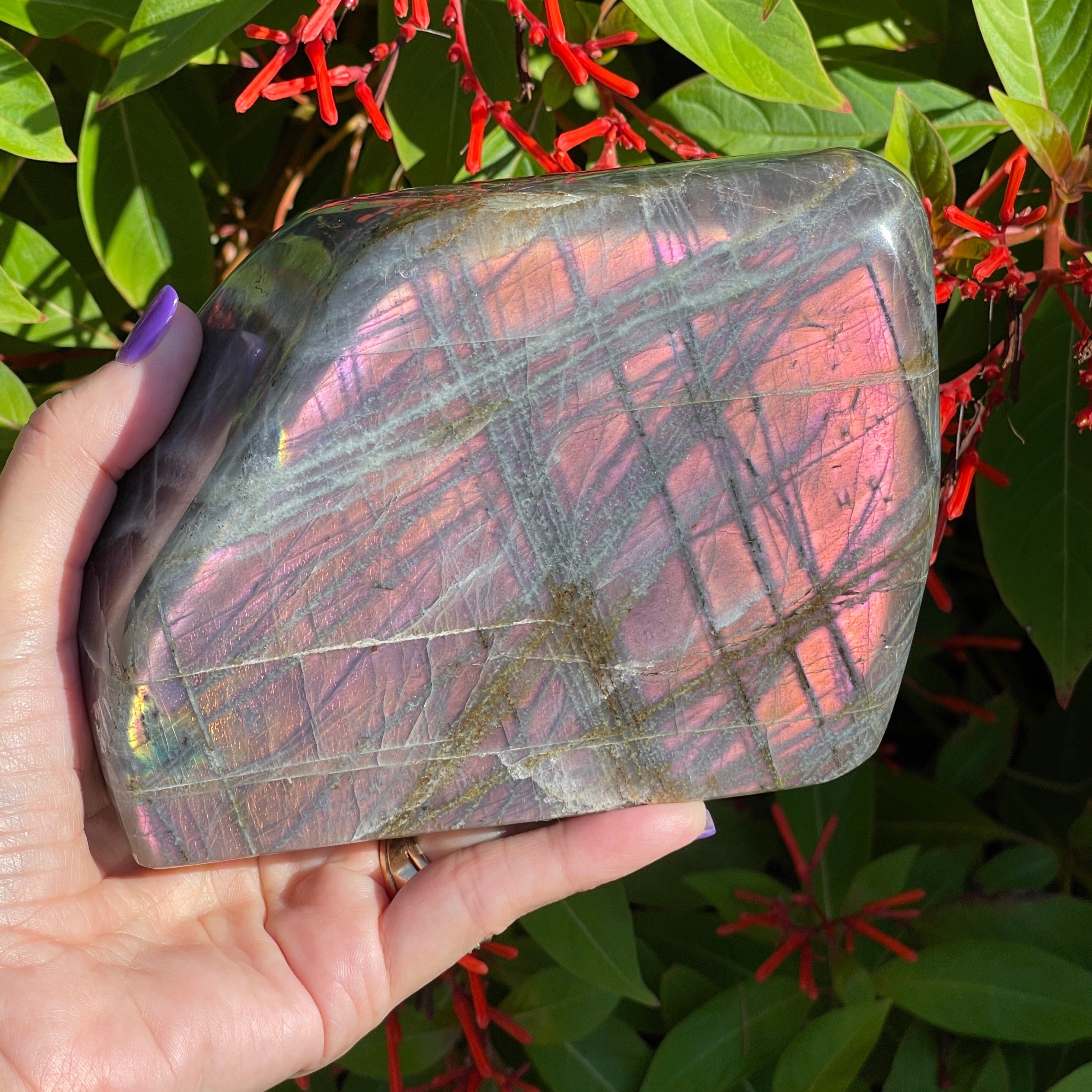Purple Pink Labradorite