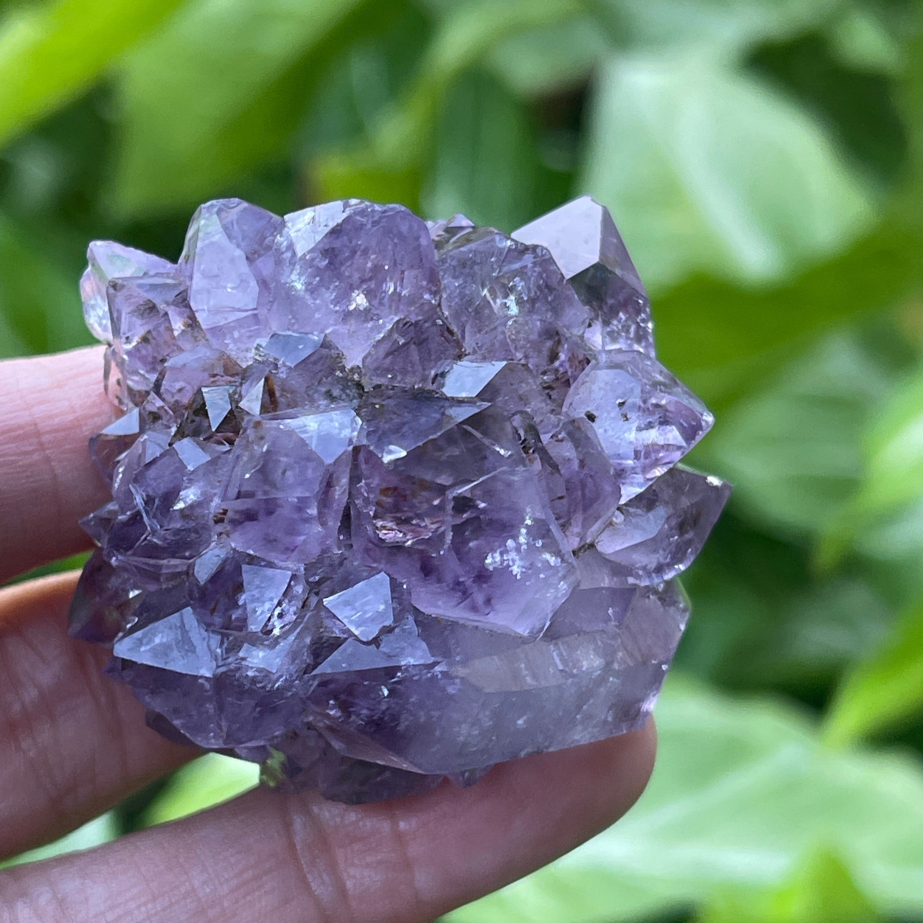 Amethyst flower 