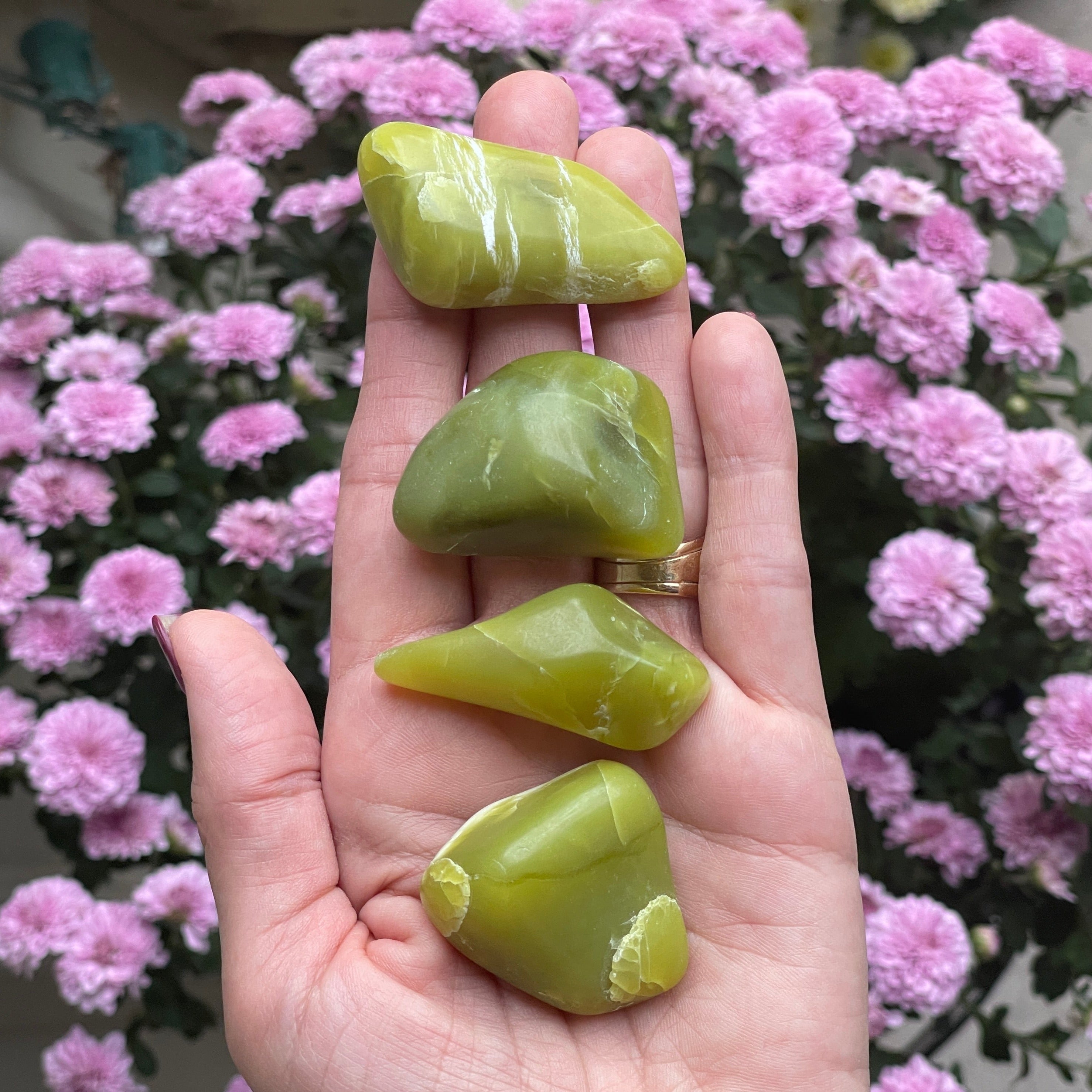 Noble Serpentine polished tumbled stones