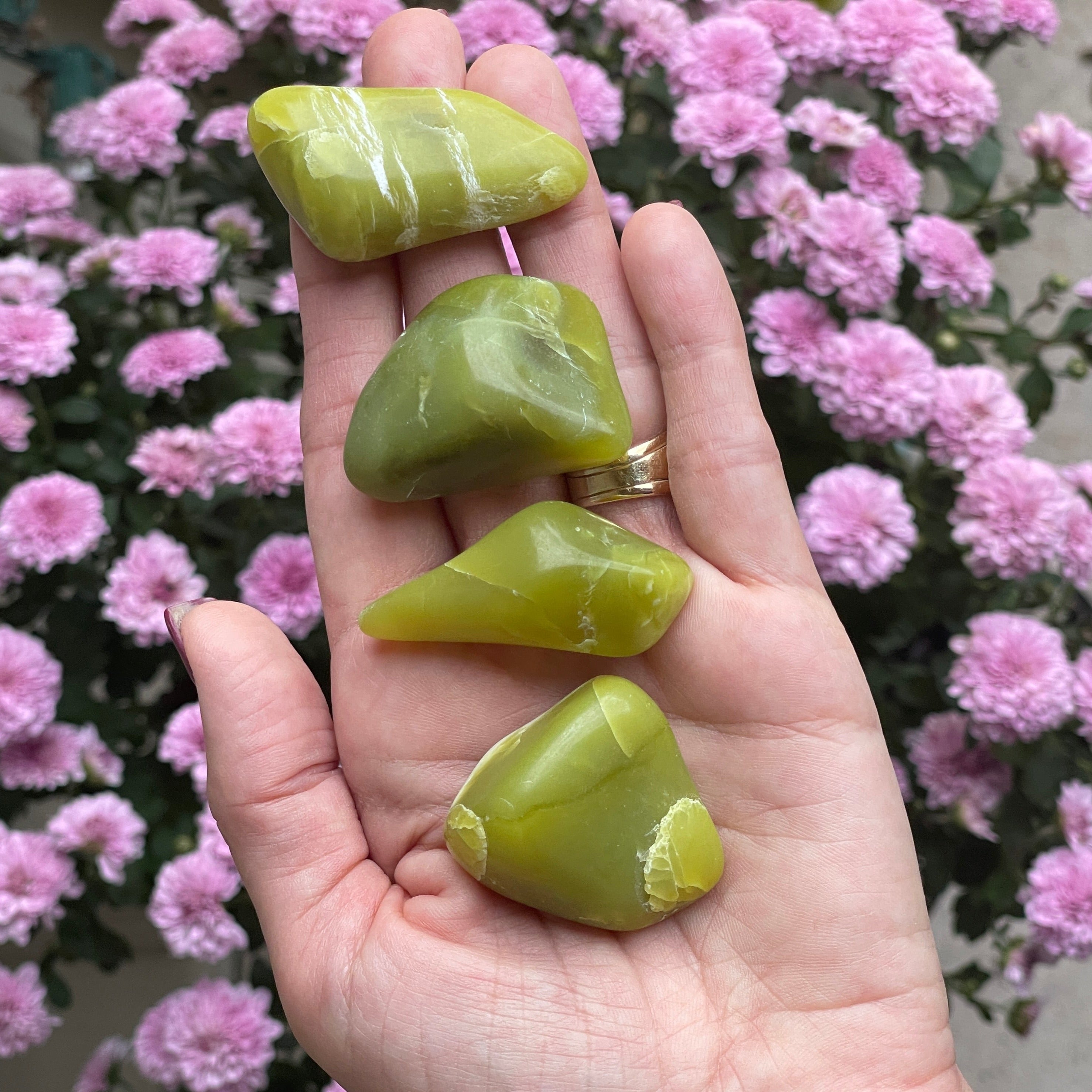 Noble Serpentine | Healerite Tumbled Stone | Polished Crystals