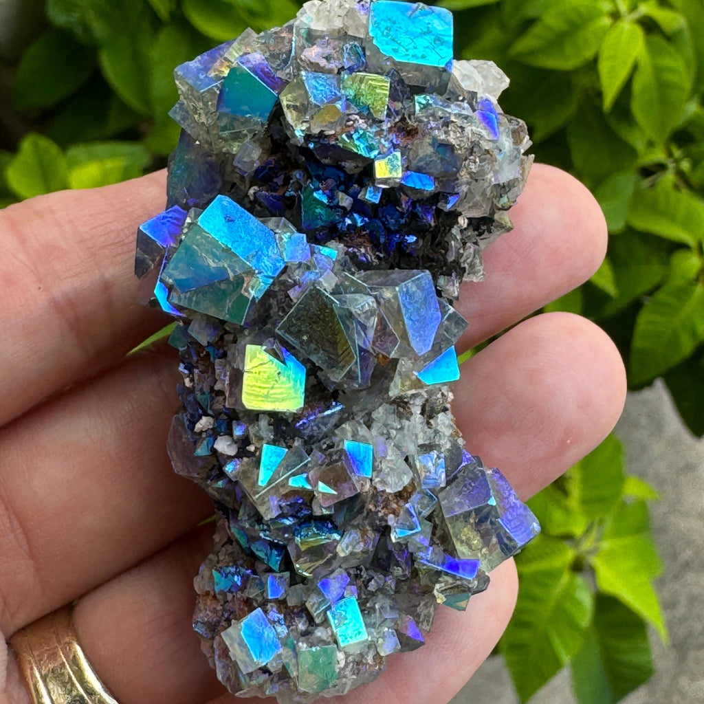 Angel Aura Fluorite, uv reactive