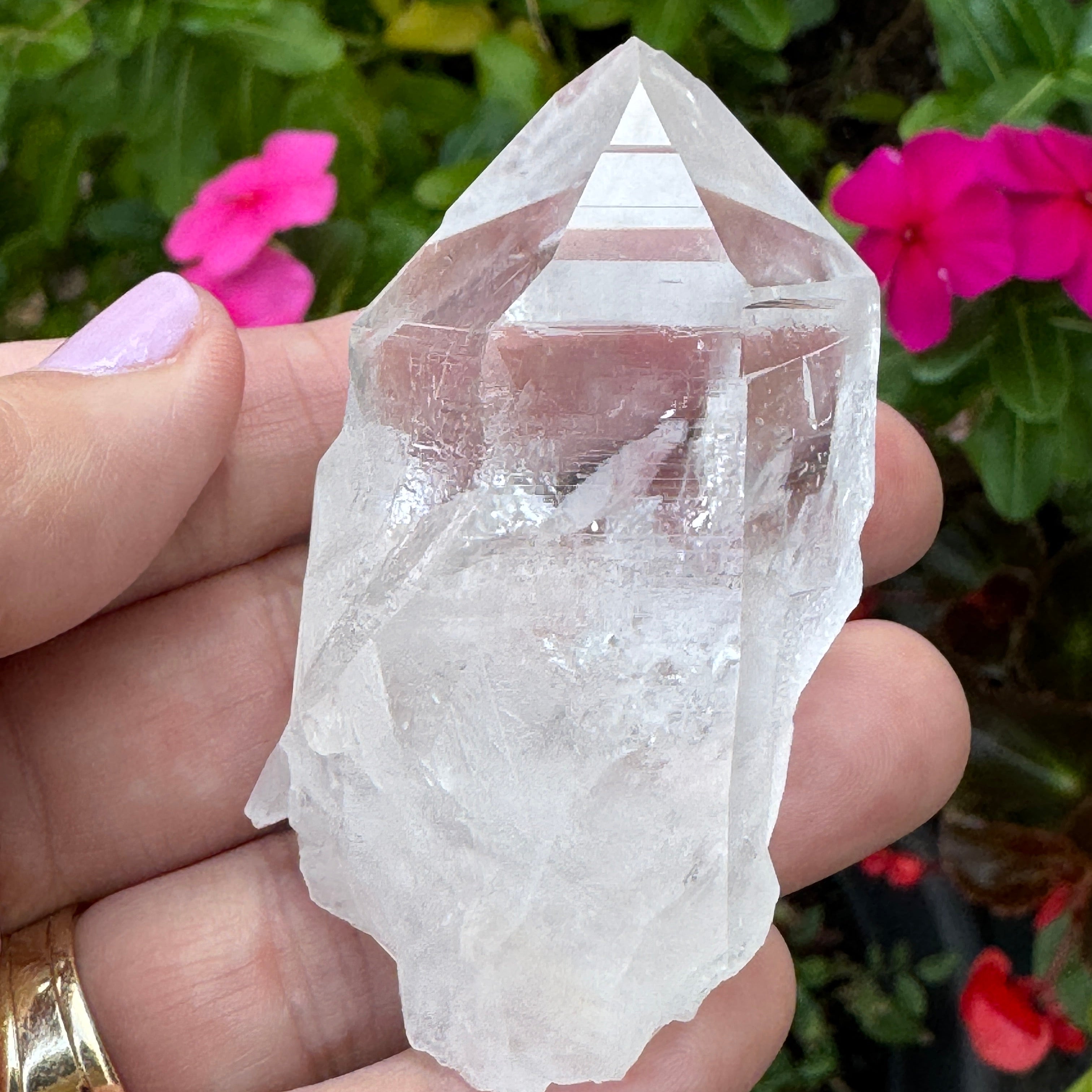 A hand holding a raw, pointed clear quartz crystal against a background of green foliage and pink flowers.