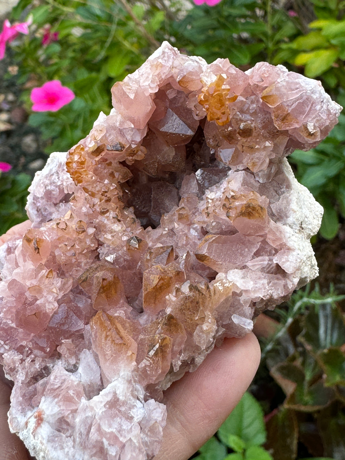 Rare Hematite fringed Pink Amethyst Geode w Dark Pink Gemmy Crystals 133