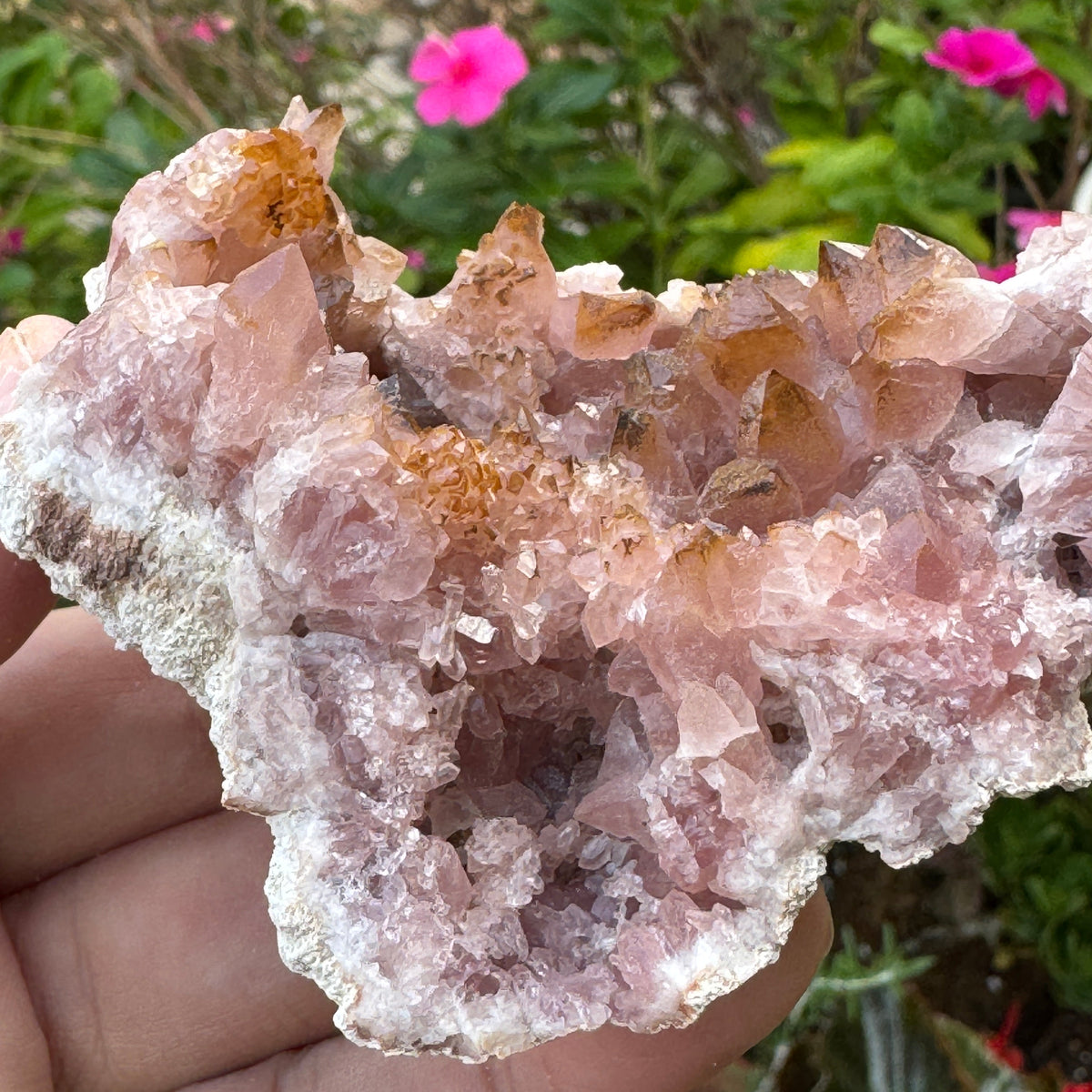 Rare Hematite fringed Pink Amethyst Geode w Dark Pink Gemmy Crystals 133