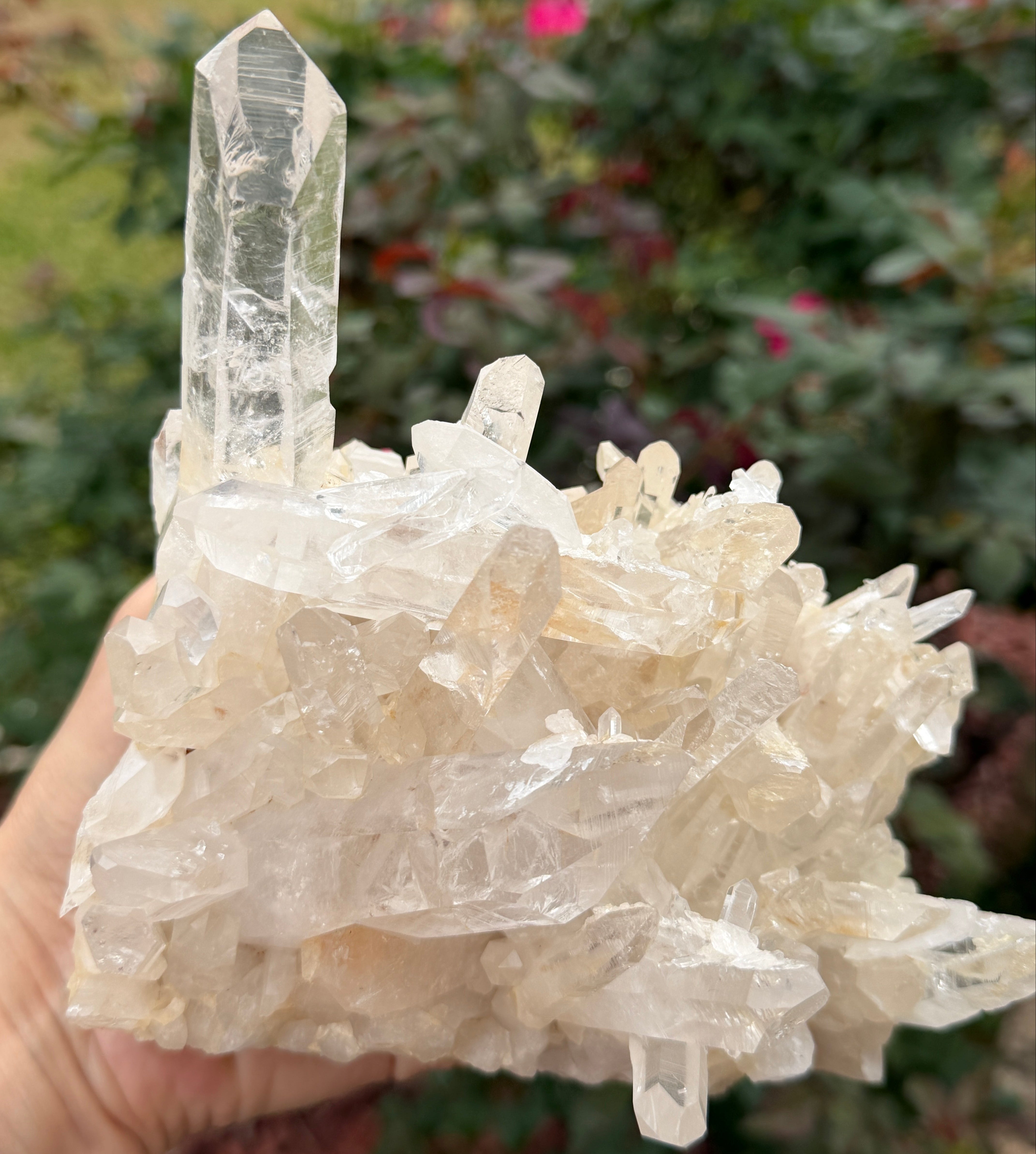 Arkansas Crystal Quartz 3.4lbs! | Water Clear | Healing Crystal | Statement Piece