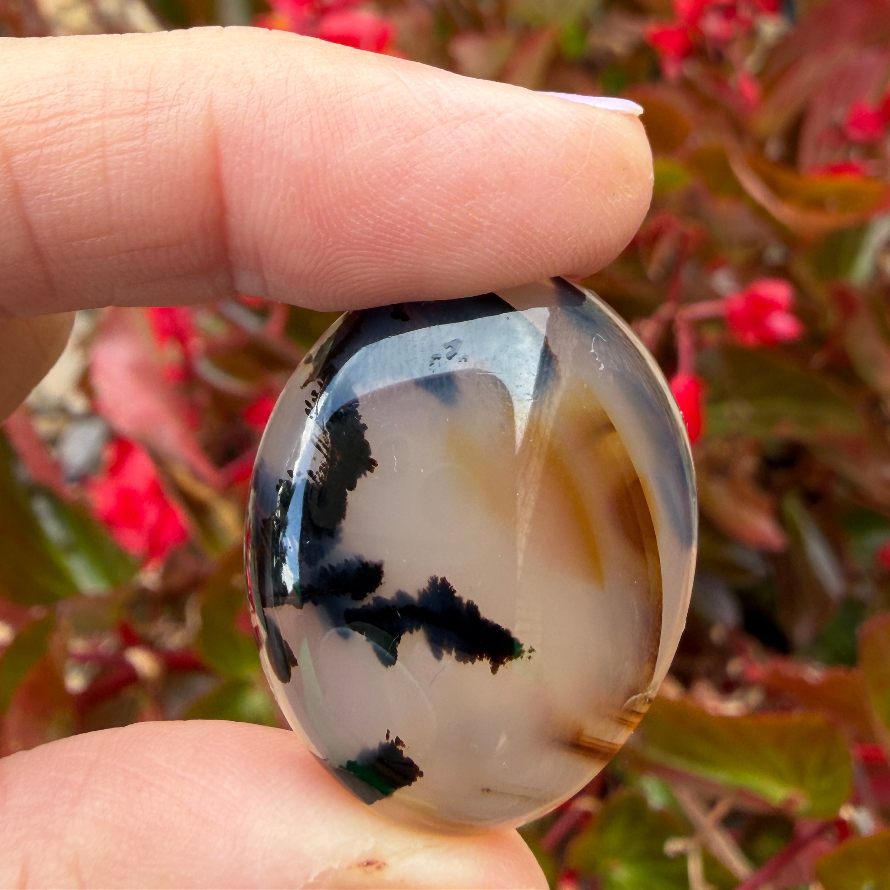 Montana Agate Cabochon Jewelry making or Collecting