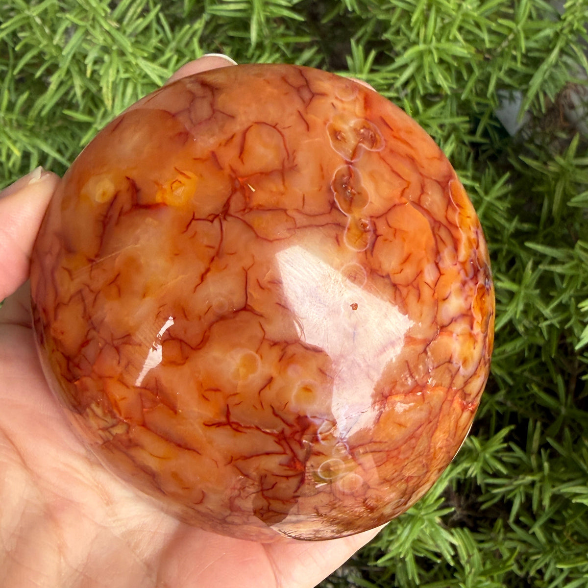 Carnelian Crystal Standing 307grams