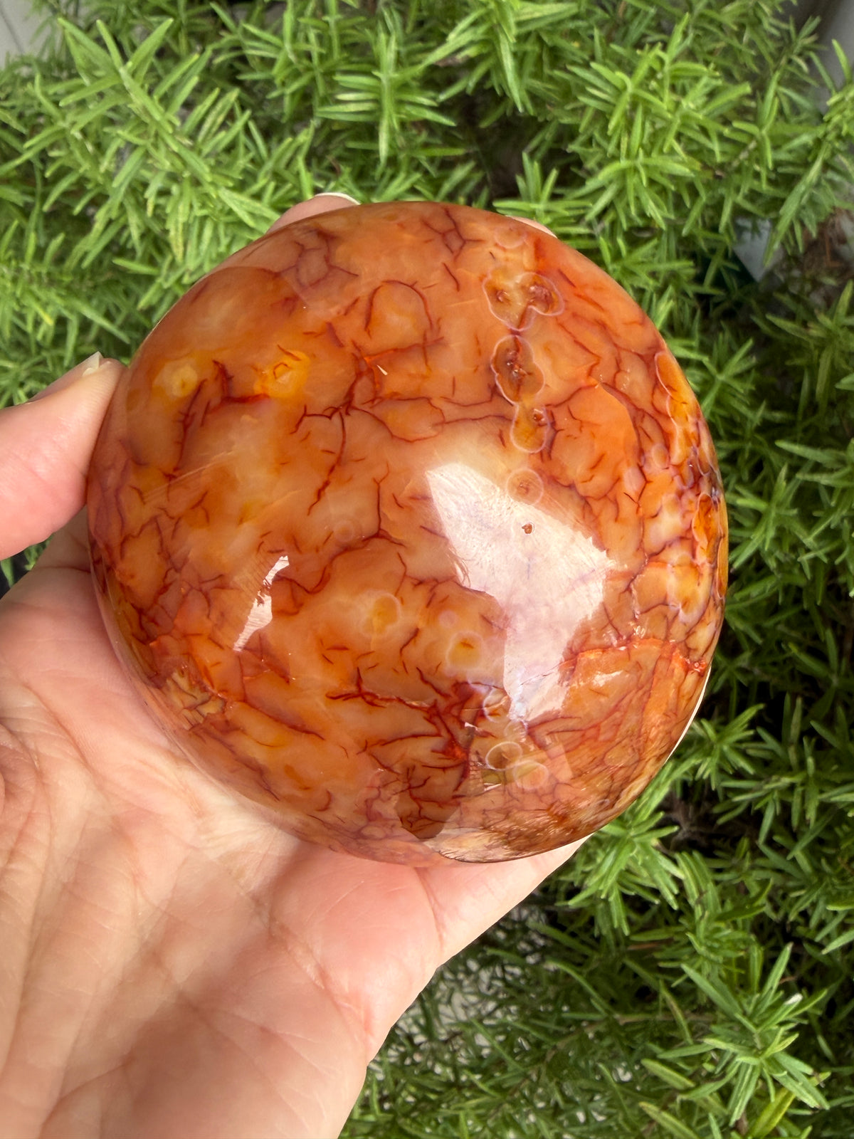 Carnelian Crystal Standing 307grams