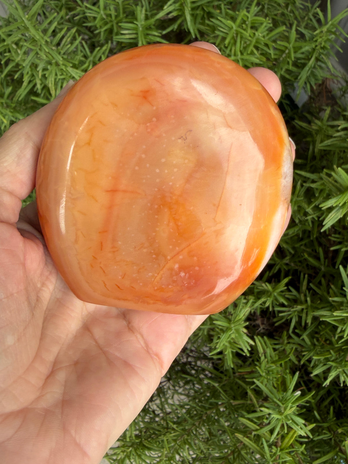 Carnelian Crystal Standing 307grams