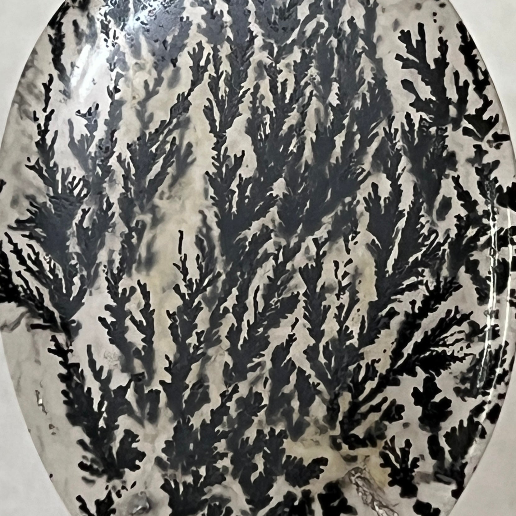 Black Plume Dendritic Agate - Rare- 1980's Alpine Texas