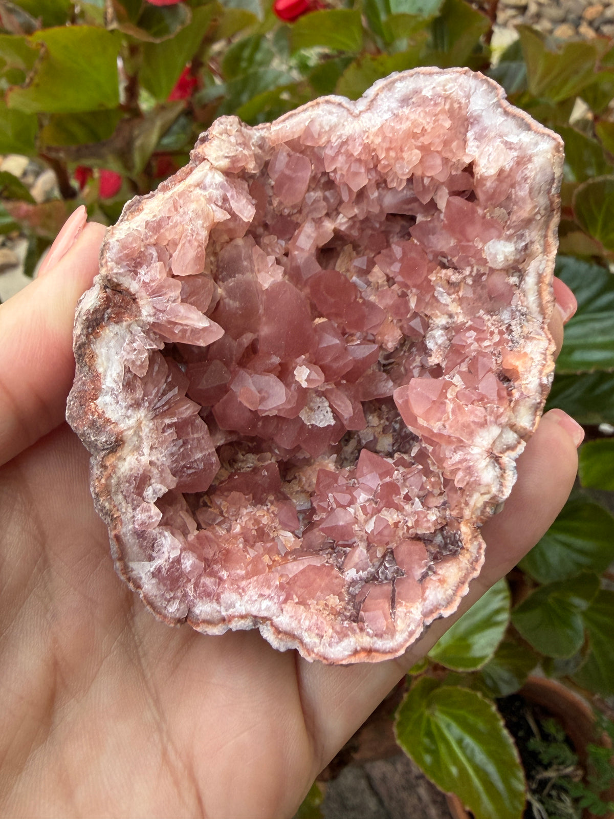 Pink Amethyst Geode w Dark Pink Gemmy Crystals 142grams